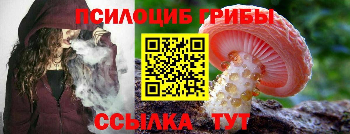 Псилоцибиновые грибы ЛСД  Вход с VPN  Каменка 